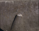 FileNo.030-333.jpg