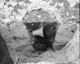 FileNo.030-353.jpg