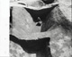 FileNo.030-361.jpg