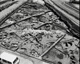 FileNo.030-364.jpg