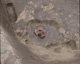 FileNo.030-371.jpg