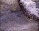 FileNo.030-381.jpg