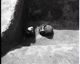 FileNo.030-385.jpg