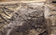 FileNo.A-062.jpg