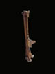 FileNo.032-056.jpg