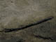 FileNo.032-039.jpg