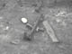 FileNo.032-041.jpg