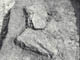 FileNo.032-042.jpg