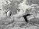 FileNo.032-043.jpg