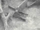 FileNo.032-047.jpg