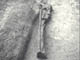 FileNo.032-050.jpg