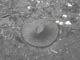 FileNo.032-051.jpg