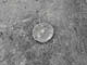 FileNo.032-052.jpg