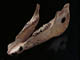 FileNo.032-057.jpg