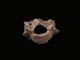 FileNo.032-058.jpg