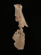 FileNo.032-059.jpg