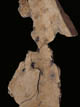 FileNo.032-060.jpg