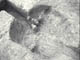 FileNo.033-009.jpg