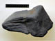 FileNo.033-034.jpg
