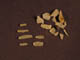 FileNo.033-035.jpg