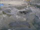 FileNo.034-002.jpg