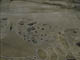 FileNo.034-006.jpg