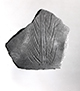 FileNo.S034-1156.jpg