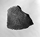 FileNo.S034-2090.jpg