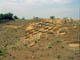 FileNo.035-001.jpg