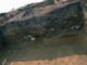 FileNo.035-004.jpg