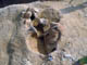 FileNo.035-018.jpg