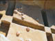 FileNo.035-021.jpg