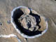 FileNo.035-026.jpg