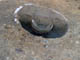 FileNo.035-027.jpg