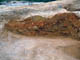 FileNo.035-034.jpg
