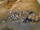 FileNo.035-036.jpg