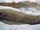 FileNo.035-039.jpg
