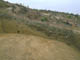 FileNo.035-046.jpg
