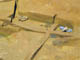 FileNo.036-002.jpg