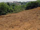 FileNo.036-003.jpg