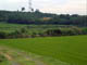 FileNo.036-004.jpg