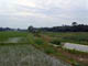 FileNo.036-005.jpg
