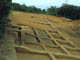 FileNo.036-006.jpg