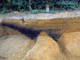 FileNo.036-010.jpg