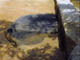 FileNo.036-015.jpg