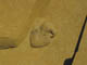 FileNo.036-022.jpg