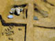 FileNo.036-024.jpg