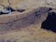 FileNo.036-025.jpg