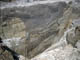 FileNo.037-003.jpg