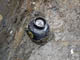 FileNo.037-027.jpg